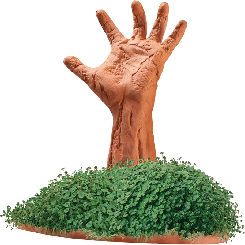 Chia Pet Zombie Pet with Seed Pack, Decorative Pottery Planter, Easy to Do and Fun to Grow, Novelty Gift, Perfect for Any Occasion - Image 3